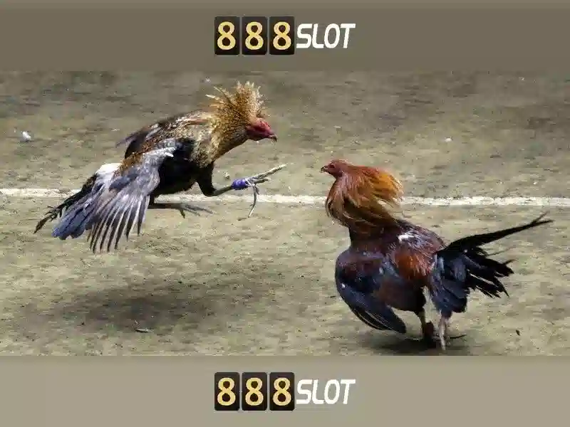 💎fabet có uy tín không💎 - mã thưởng fabet - fabet hiện đang mở