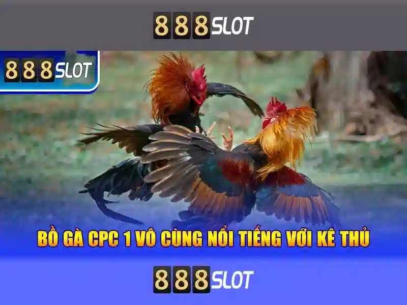 💎nhà cái uy tín 23💎