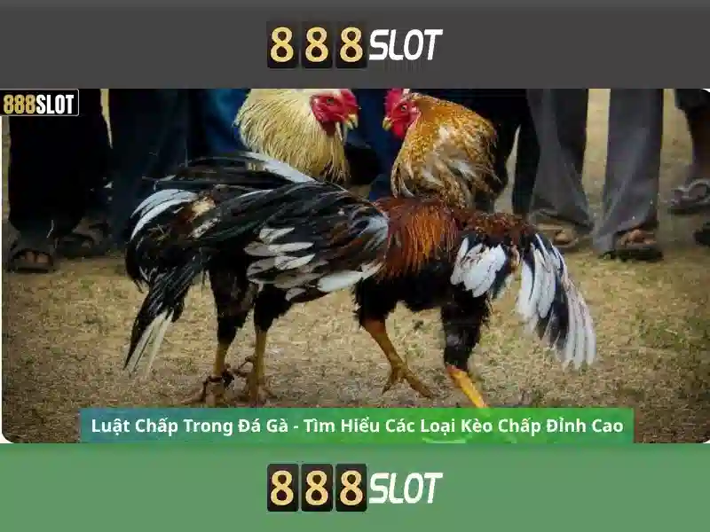 💎tai sin88💎 - tải sin88 club - sin88 neteretournepas