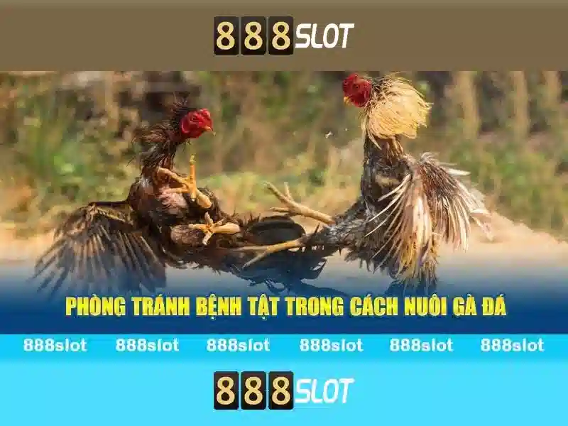 💎keo nha cai hom💎