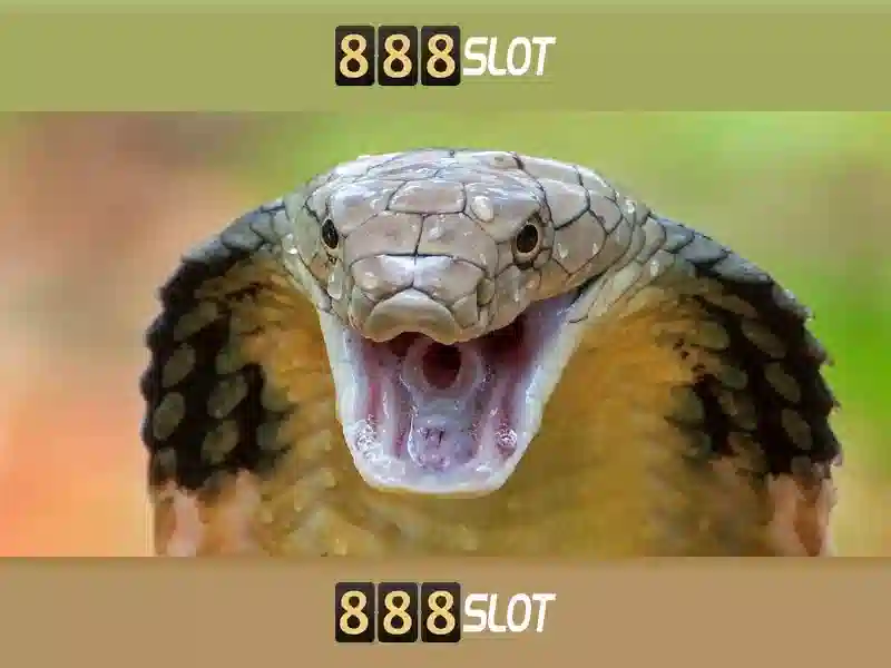 💎nha cai i9bet💎