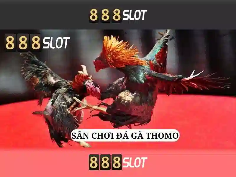 💎nha cai 33win hồ chí minh💎