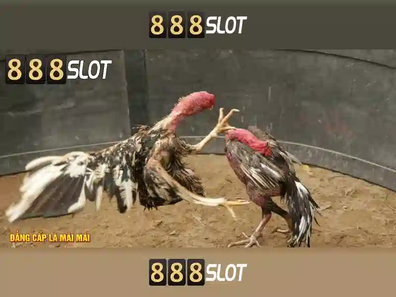 💎xn88 deposit myanmar💎