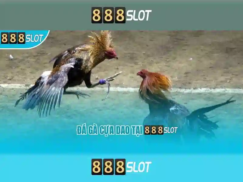 💎nohu 888slot💎