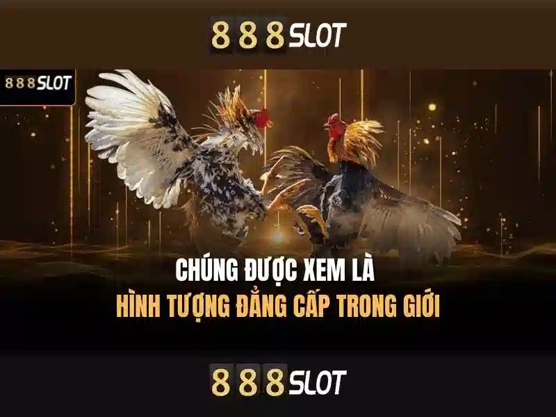 💎fabet club💎 - fabet bit - fabet cc không vào được