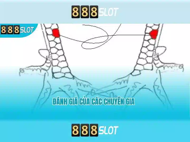 💎somany slots💎