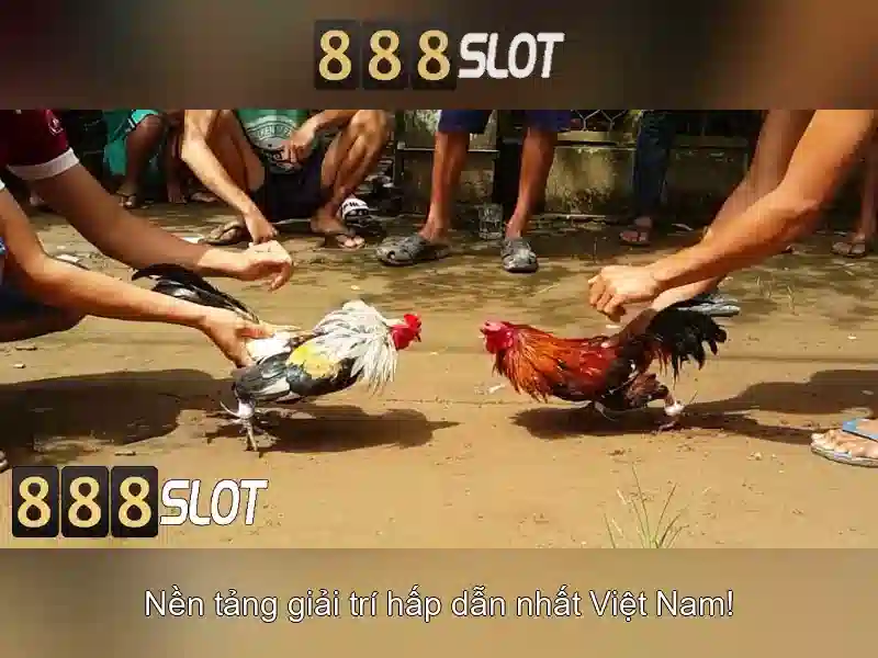 💎nhà cái uy tín socail.bet💎