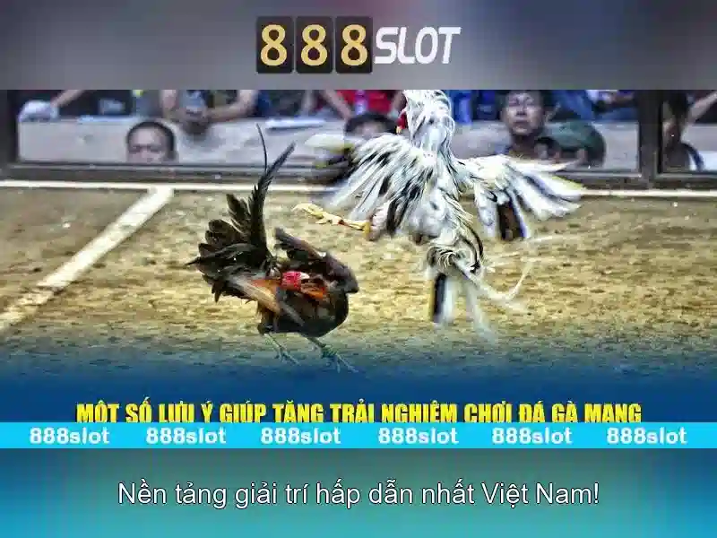 💎nha cai uy tin nhâci789💎