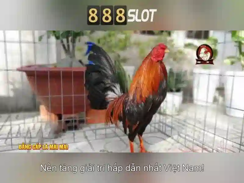 💎vn 888 slot💎 - free online slot machines 888 - orion 888 slot