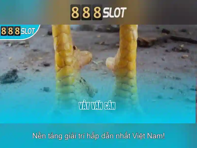 💎66b phường 15 quận tân bình💎 - nhà cái 66b - hoogoorddreef 66b