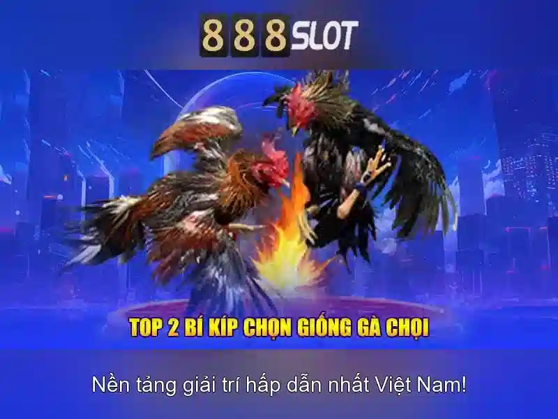 💎manclub ìno💎 - manclub kiwi - rút tiền manclub