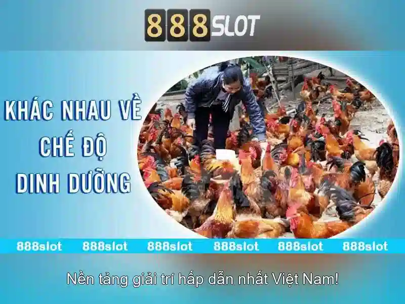 💎cải tạo ngôi nhà💎