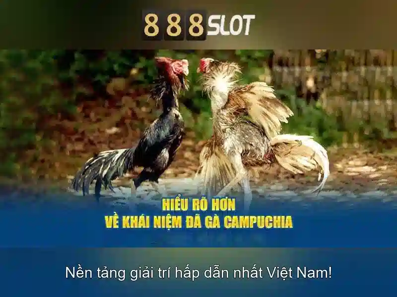 💎dọn nhà lào cai💎