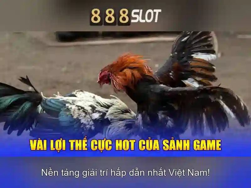 💎kè sông cái nha trang khi nào khởi công💎